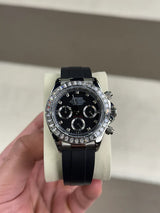 Seitona Diamond Noble Dawn